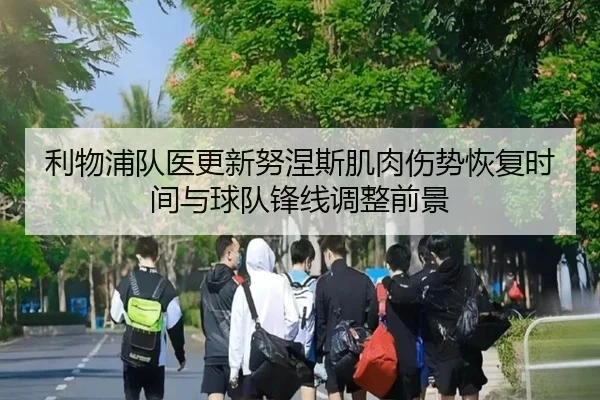 利物浦队医更新努涅斯肌肉伤势恢复时间与球队锋线调整前景